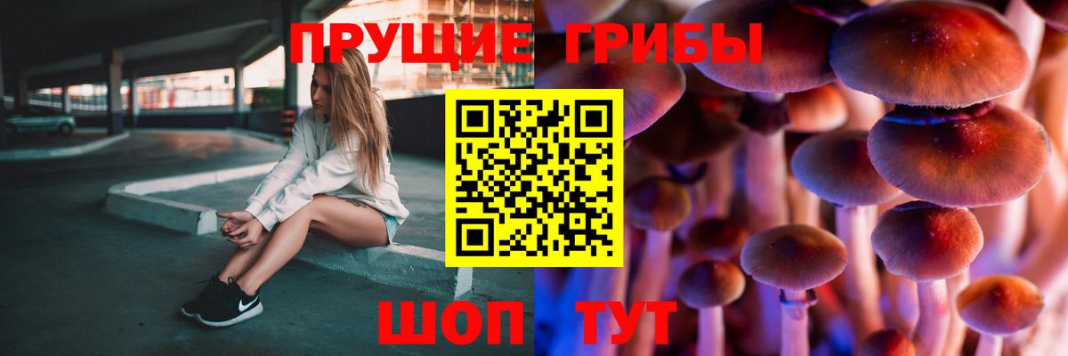 Галлюциногенные грибы Psilocybine cubensis  магазин продажи   Псилоцибиновые грибы Psilocybine cubensis  Прохладный  Вход с VPN 